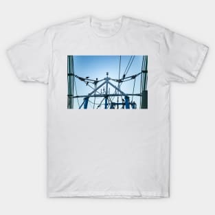 Boat on a Boat-tailed Grackle T-Shirt